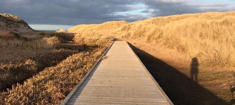 Photo of a boardwalk to the beach.